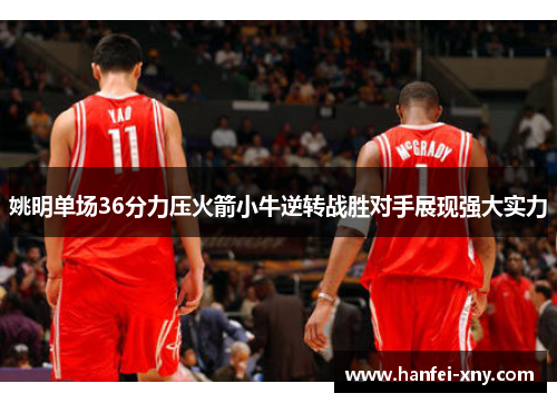 姚明单场36分力压火箭小牛逆转战胜对手展现强大实力